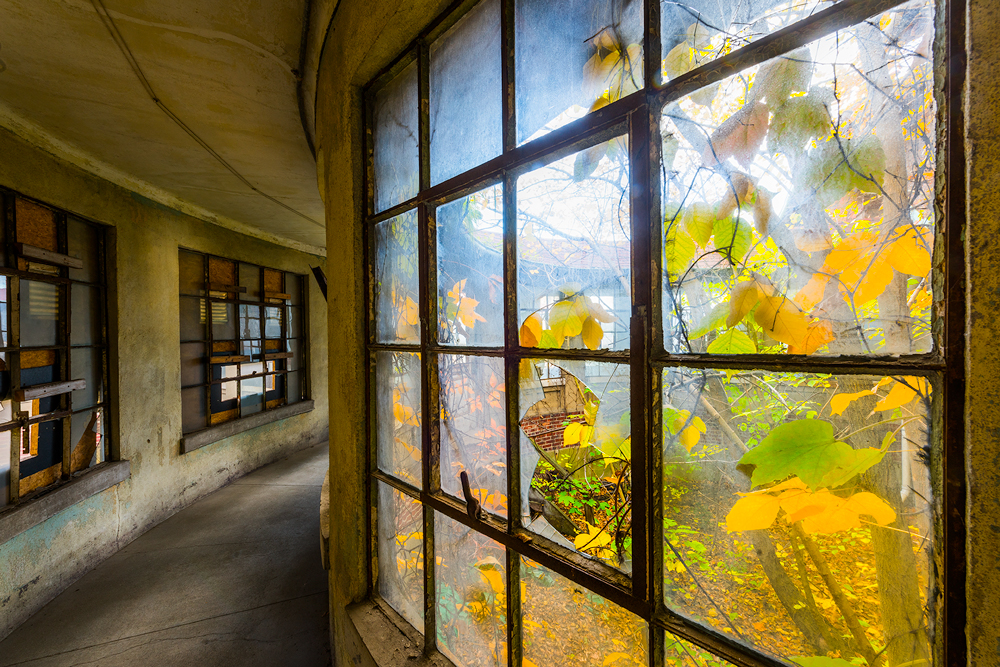 tonysweet curvedhall