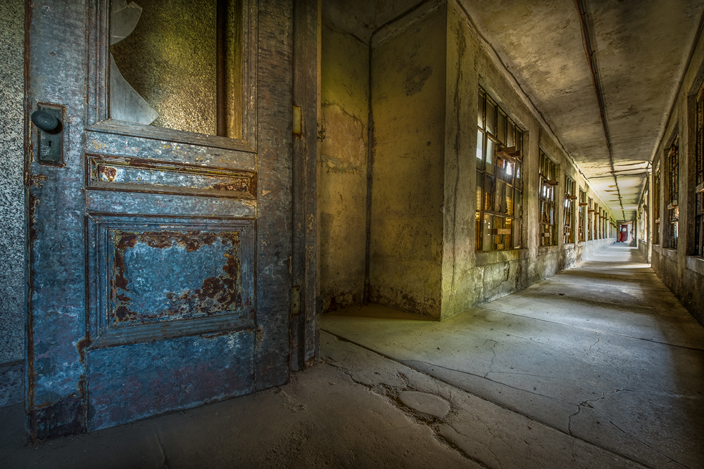 tonysweet ellisisland