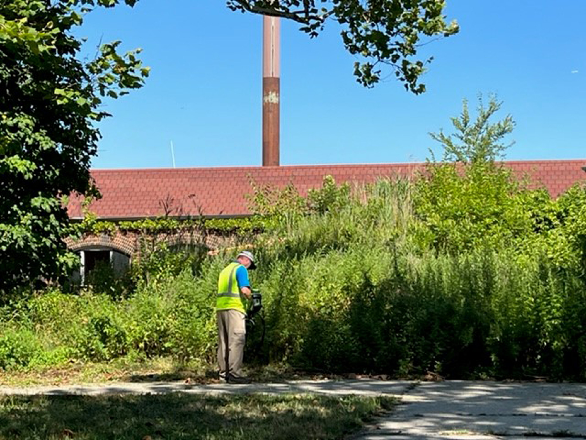 2 lawntallerthanworker
