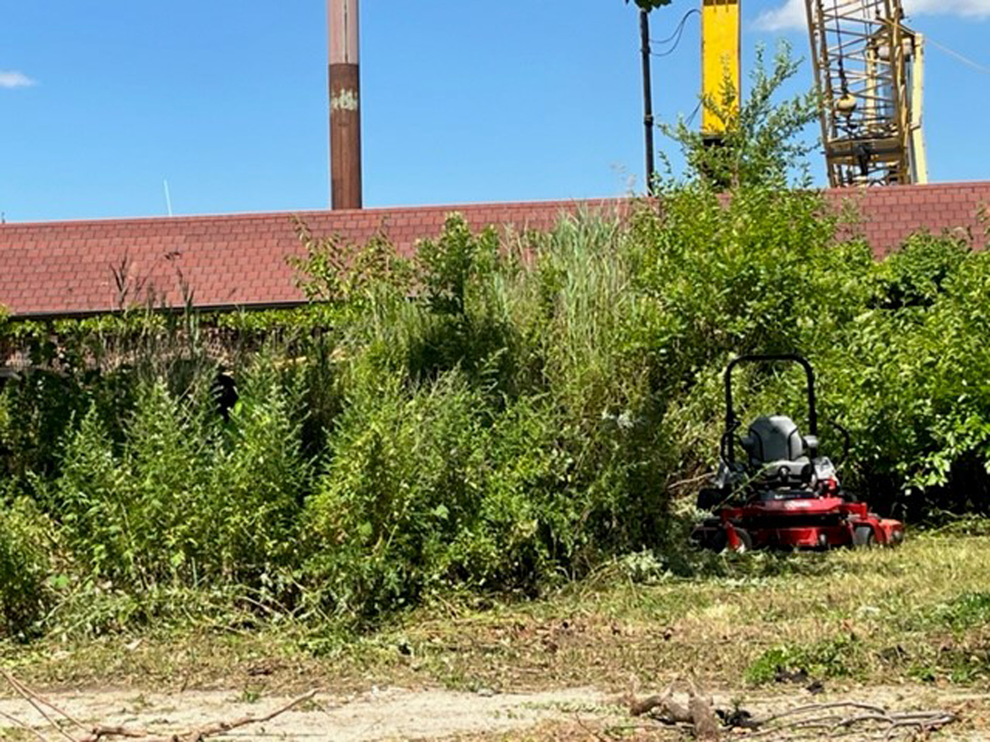 4 mowernexttolawn