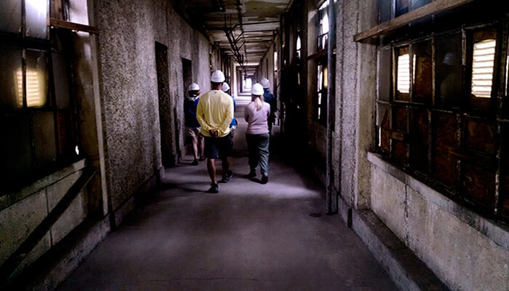 ellis island group tours